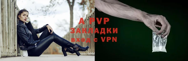 спиды Белокуриха