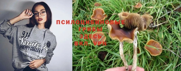 спиды Белокуриха