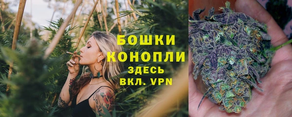 спиды Белокуриха
